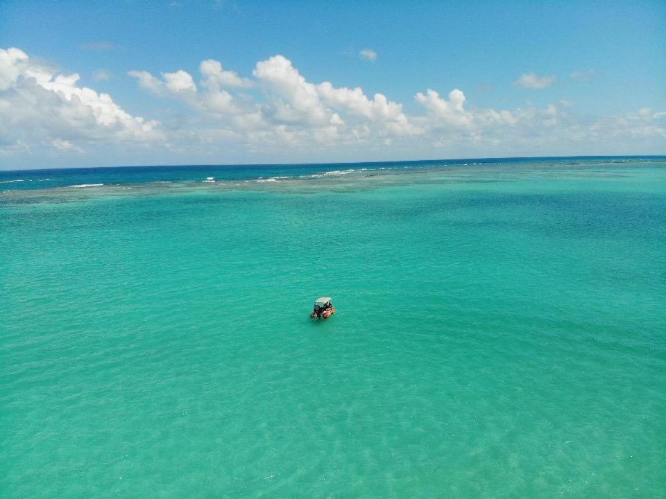 Fazenda Xareu Villa Maragogi Eksteriør billede